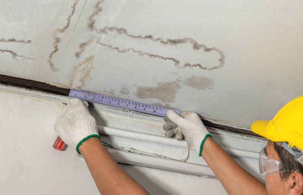Reliable Structural Drying contractor in Morrice, MI by Water Damage Irwin